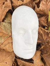 Load image into Gallery viewer, George Washington life mask death cast face head cast