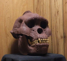Load image into Gallery viewer, Bigfoot Skull Cast Artistic Interpretation by Master artist.