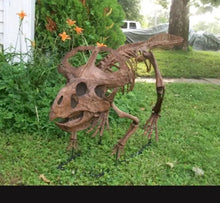 Load image into Gallery viewer, Protoceratops skeleton cast replica