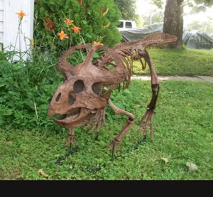 Protoceratops skeleton cast replica