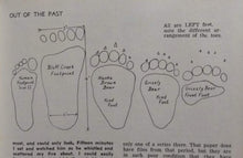 Load image into Gallery viewer, Bear: Footprint Adult Polar Bear footprint cast replica