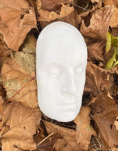 Load image into Gallery viewer, George Washington life mask death cast face head cast