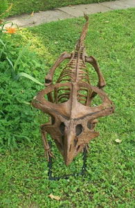 Protoceratops skeleton cast replica