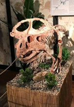 Load image into Gallery viewer, Protoceratops skeleton cast replica