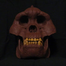 Load image into Gallery viewer, Bigfoot Skull Cast Artistic Interpretation by Master artist.