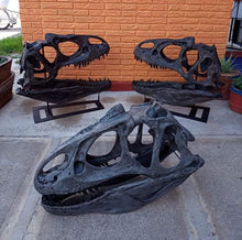 Charger l&#39;image dans la galerie, Allosaurus skull cast replica (no stand) Dinosaur