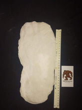 Load image into Gallery viewer, 1971 Fouke Monster Bigfoot cast