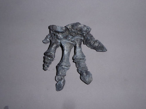 Camptosaurus Dinosaur Hand Cast Replica