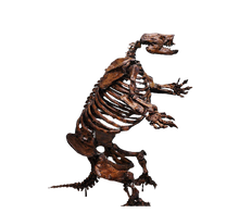 Load image into Gallery viewer, Paramylodon Harlan&#39;s Ground Sloth skeleton cast replica