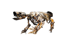 Load image into Gallery viewer, Paramylodon Harlan&#39;s Ground Sloth skeleton cast replica