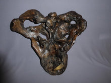 Charger l&#39;image dans la galerie, Gorgonopsid mammal-like reptile - Replica Skull - education zoology paleontology