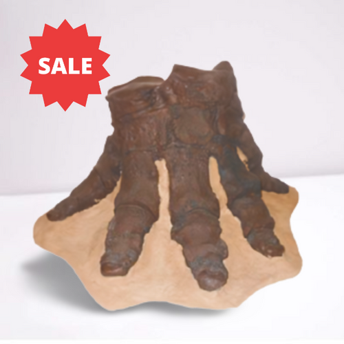 Mastodon foot cast replica Pleistocene. Ice Age