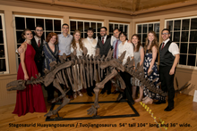 Load image into Gallery viewer, Stegosaurus skeleton cast replica #1