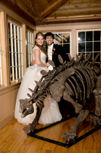 Load image into Gallery viewer, Stegosaurus skeleton cast replica #1