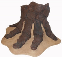 Mastodon foot cast replica Pleistocene. Ice Age