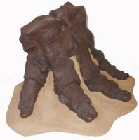 Mastodon foot cast replica Pleistocene. Ice Age