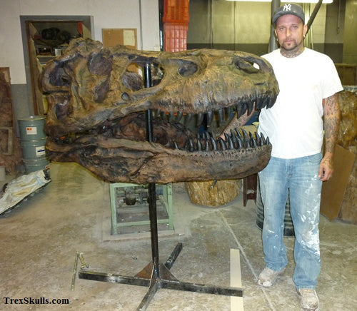 CSI T.rex skull cast replica