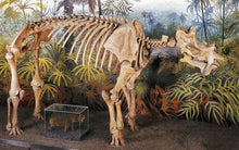 Load image into Gallery viewer, Uintatherium Skeleton Cast Replica