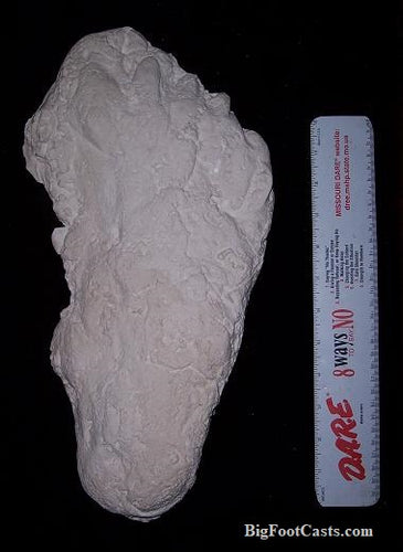 1982 Umatilla Elk Wallow Paul Freeman Dermals Bigfoot  Cast