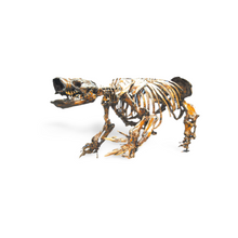 Load image into Gallery viewer, Paramylodon Harlan&#39;s Ground Sloth skeleton cast replica