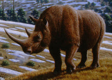 Charger l&#39;image dans la galerie, Wooly Rhino Horn Cast Replica Woolly rhino rhinoceros