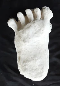 1984 Paul Freeman's "Wrinkle Foot" cast  "A" Bigfoot Sasquatch footprint track cast replicas