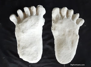 1984 Paul Freeman's "Wrinkle Foot" cast  "A" Bigfoot Sasquatch footprint track cast replicas