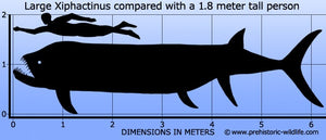 Xiphactinus audux fossil fish cast replica #2 panel